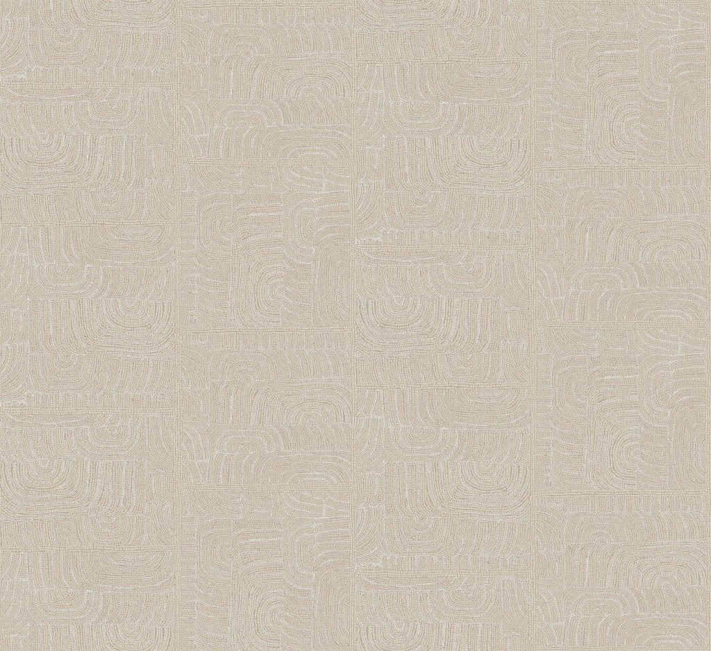 Projects III - TER504