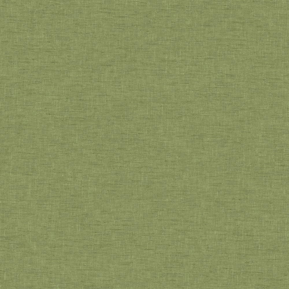 [JOY305] Telis Laurel (JOY305)