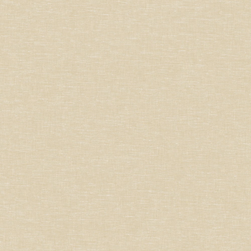 [JOY310] Telis Ivory (JOY310)