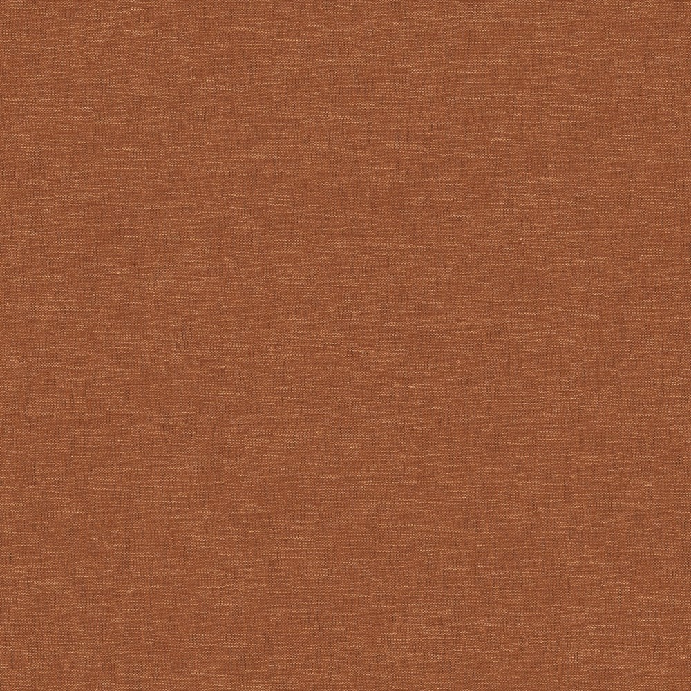 [JOY312] Telis Bronze (JOY312)