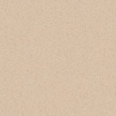 Telis Peach (RHA504)