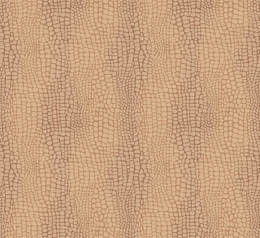 [ZON304] Amazone - ZON304