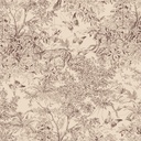 Scene Ginger (ZON205)