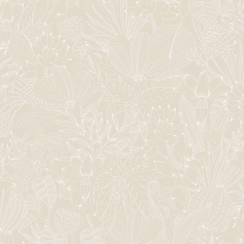 [ROM101] Bellis Angora (ROM101)