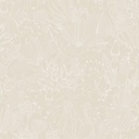 Bellis Angora (ROM101)