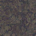 Bellis Niagara (ROM103)