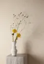 Romance - ROM301