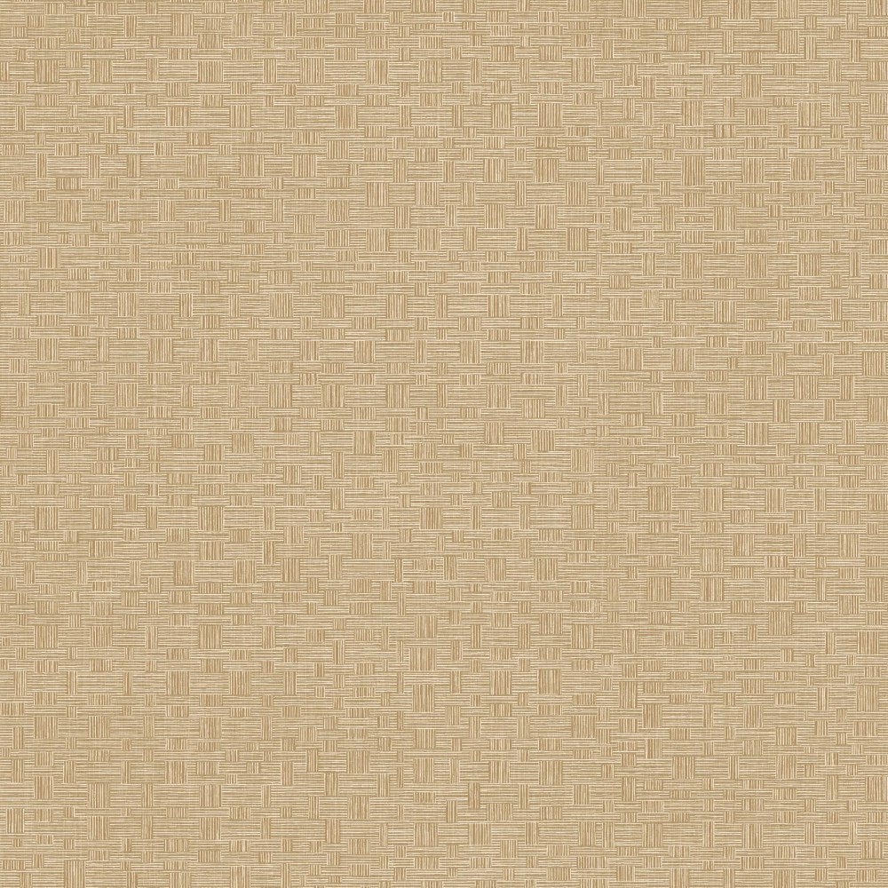 [ROM303] Tonnet Safari (ROM303)