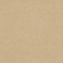 Tonnet Safari (ROM303)