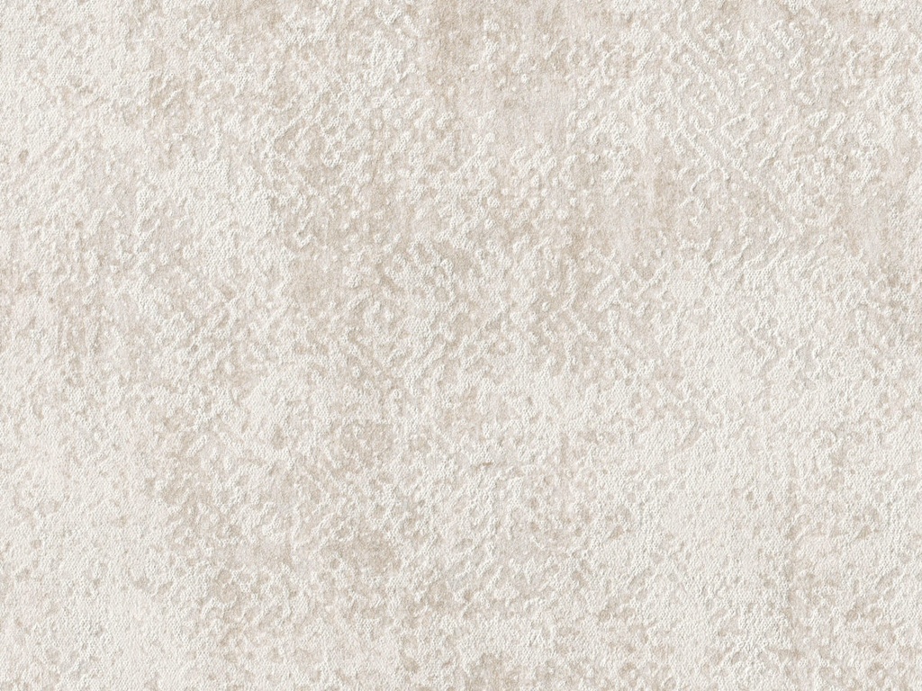 [BOA317] Borneo - BOA317