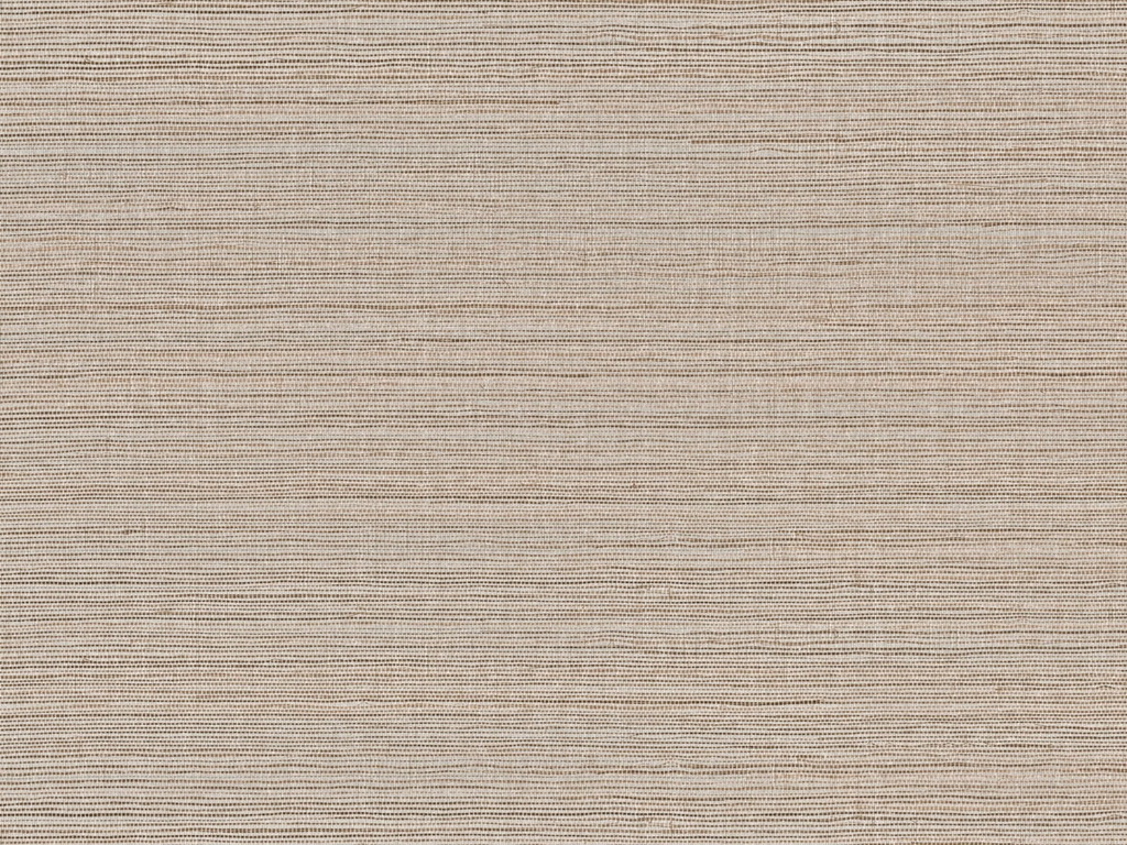 [SRA4304] Seraya - SRA4304
