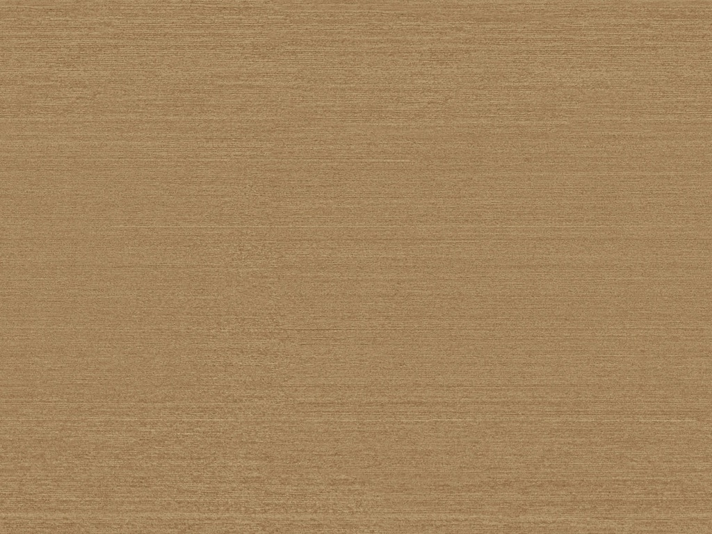 Café Society - CS21