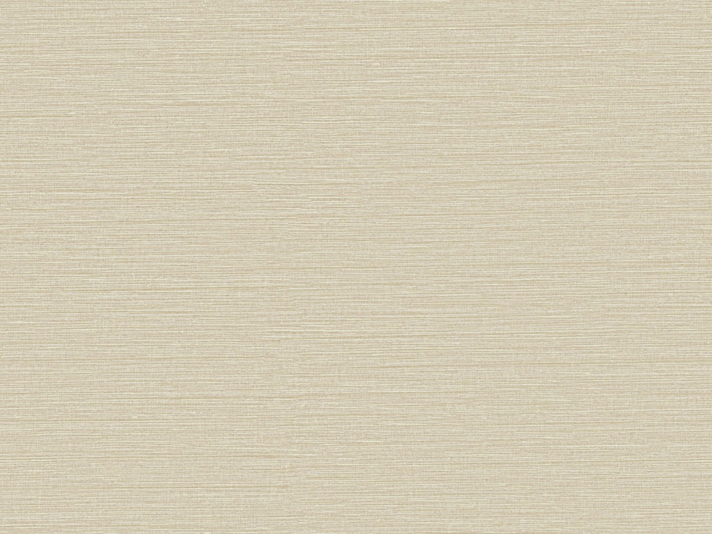 [CS41] Café Society - CS41