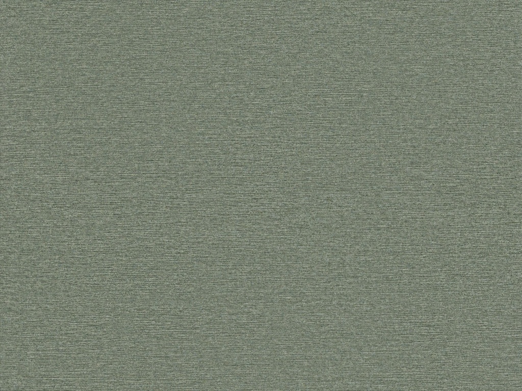 [ED7002] Edition  - ED7002