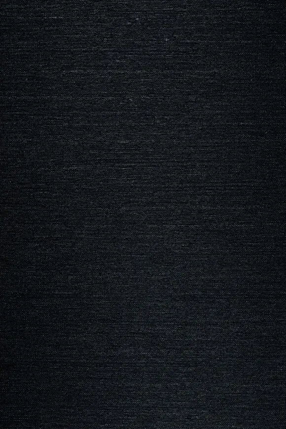 [67617] 67617