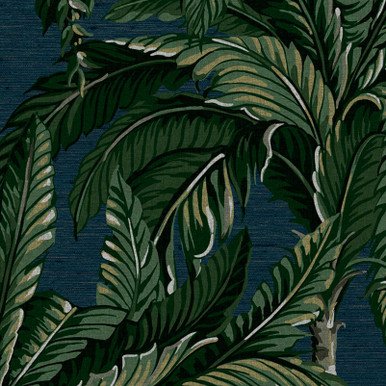 [112017-Sample] Daintree Palm Midnight (112017) – Muestra