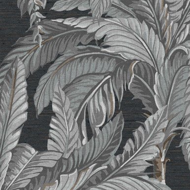 [112019-Sample] Daintree Palm Sterling (112019) – Muestra