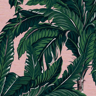 [112018-Sample] Daintree Palm Blush (112018) – Muestra