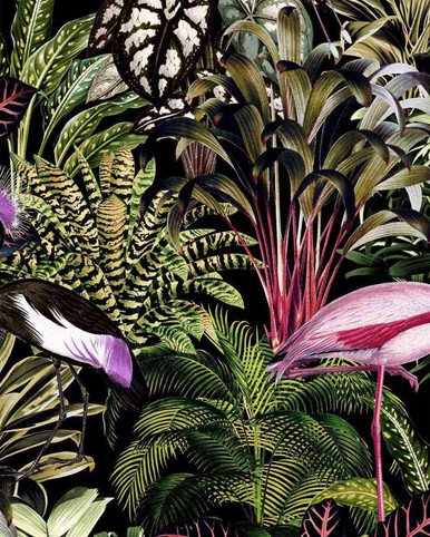 [112193-Sample] Midnight Tropic (112193) – Muestra