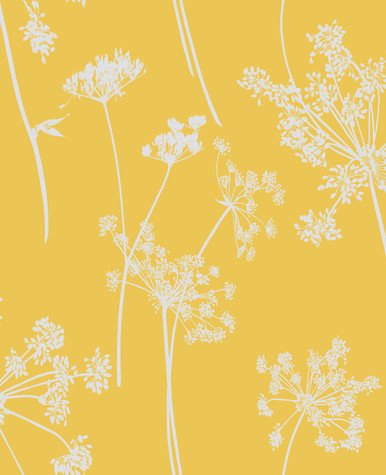 [105578-Sample] Anthriscus Summer (105578) – Muestra