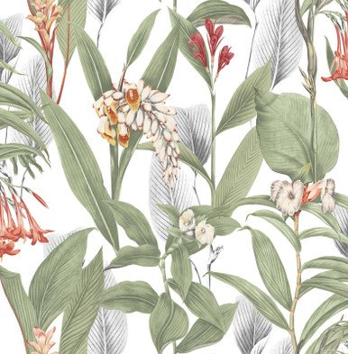 [103797-Sample] Botanical Powder (103797) – Muestra