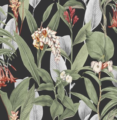 [103798-Sample] Botanical Black (103798) – Muestra
