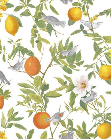 [105641-Sample] Amalfi White (105641) – Muestra