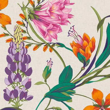 [130295-Sample] Botanists Scroll Vivant Cream (130295) – Muestra