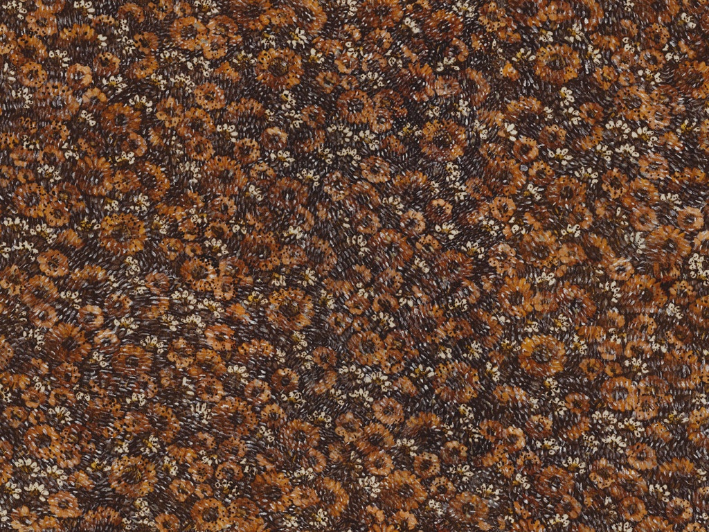 [VIR6501] Virginia'S Garden - VIR6501