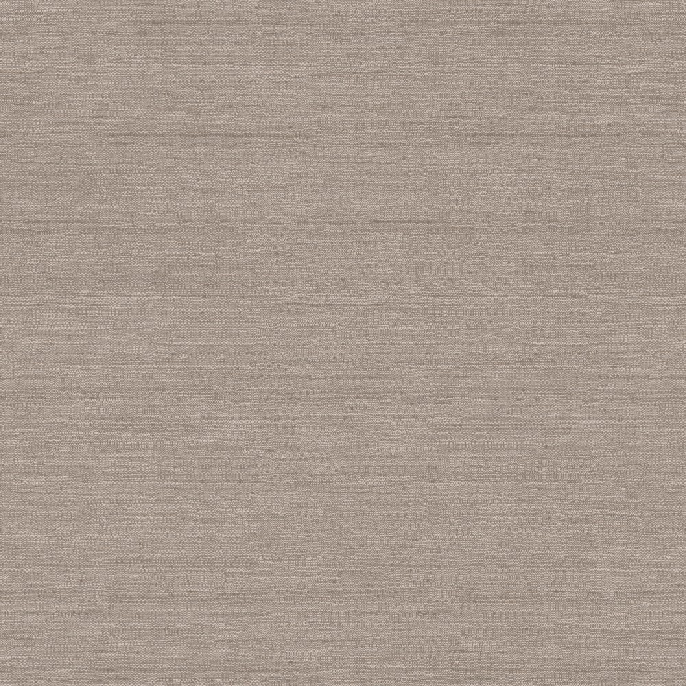 [RIC005] Mori Fossil (RIC005)