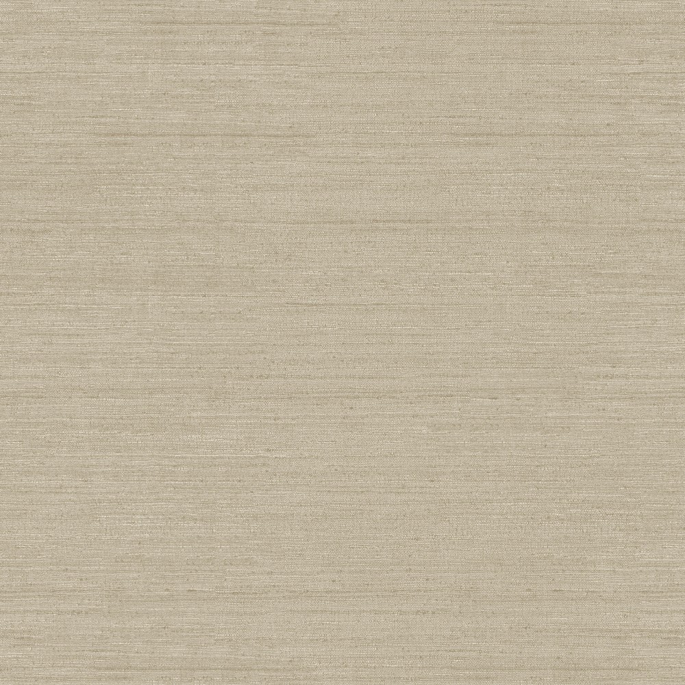 [RIC008] Mori Elm (RIC008)