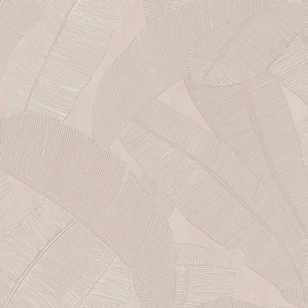 [RIC202] Banyan Ivory (RIC202)