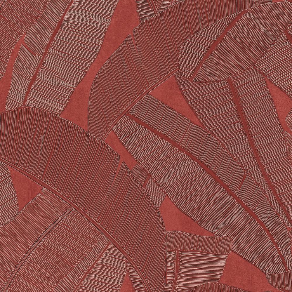 [RIC205] Banyan Amberglow (RIC205)