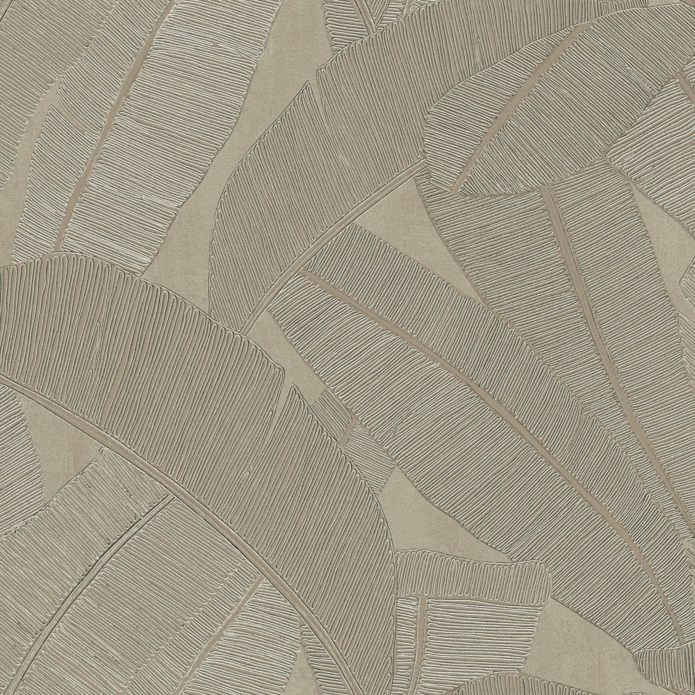 [RIC206] Banyan Elm (RIC206)