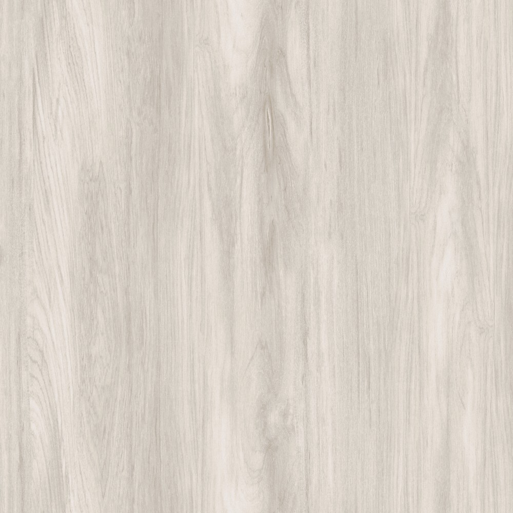 [TRA301] Sugi Beech (TRA301)