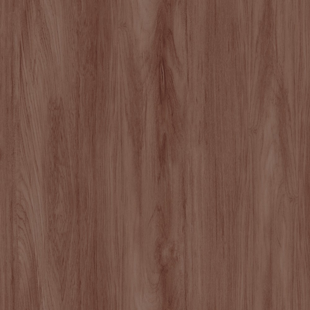 [TRA302] Sugi Hazel (TRA302)