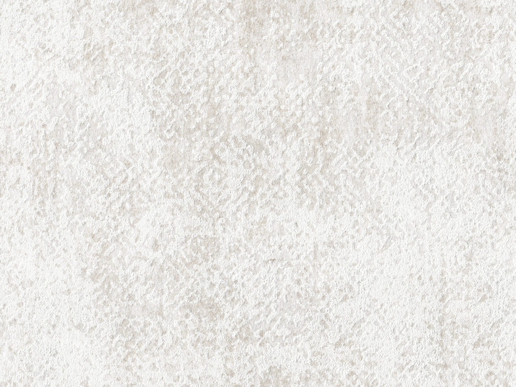 [BOA316] Borneo - BOA316