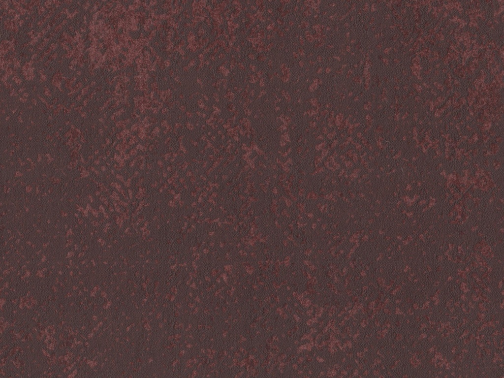 [BOA309] Borneo - BOA309