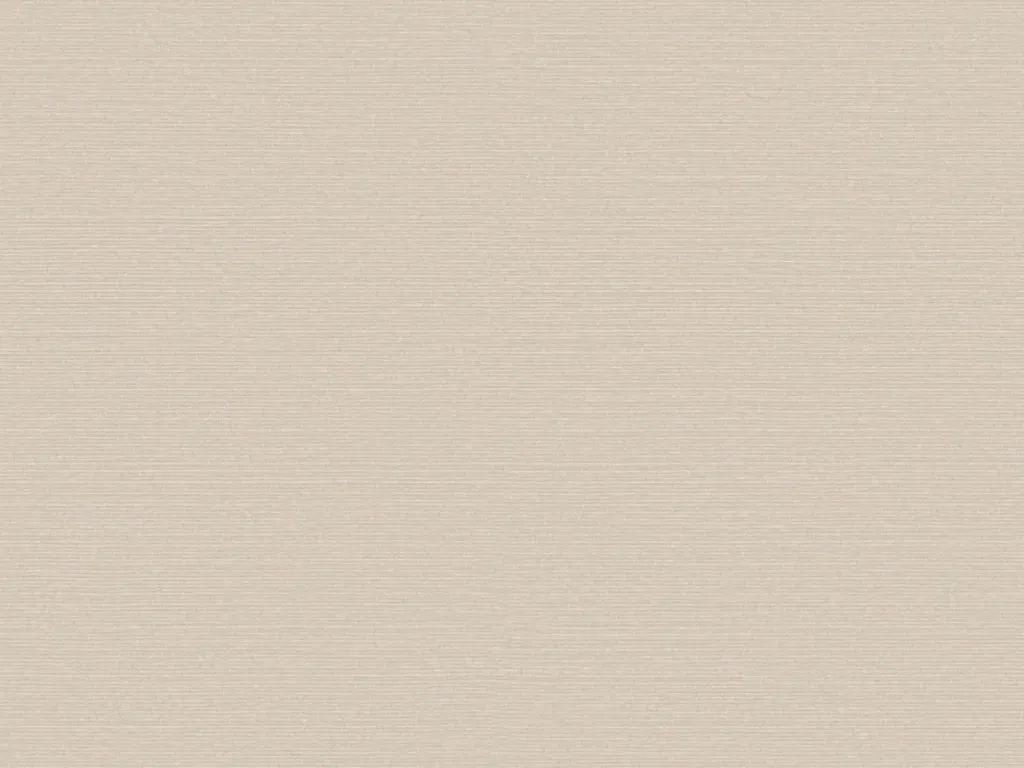 [BOP305] Birds Of Paradise - BOP305