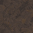Biome Midnight (RAY205)