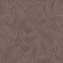 Motus Coconut (RAY301)
