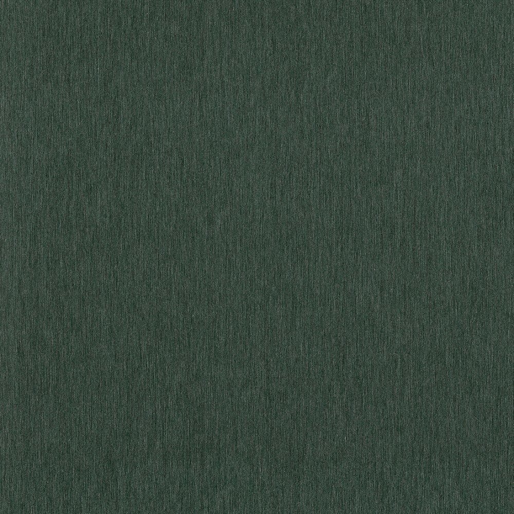 [INT408] Filo Algae (INT408)