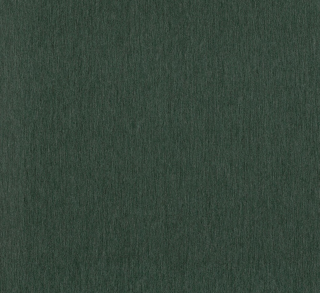 [INT408] INT408 - Filo Algae