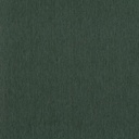 Filo Algae (INT408)