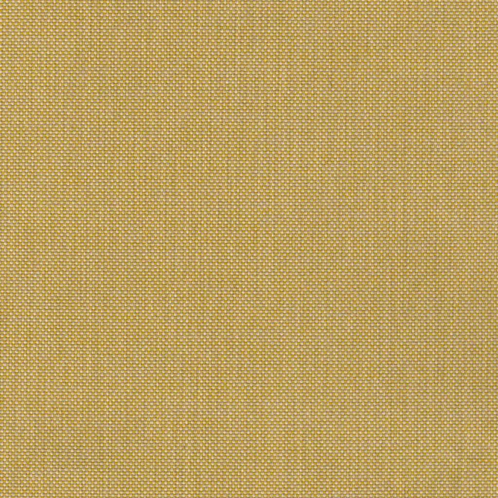 [Dolce Imp 19] Dolce Imp 19