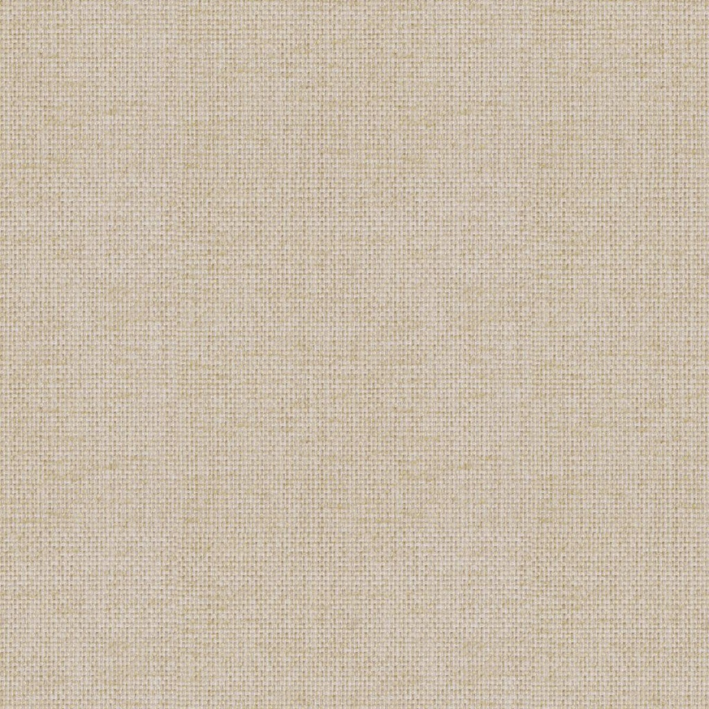 [Drom Fr 19-Sample] Drom Fr 19-Sample