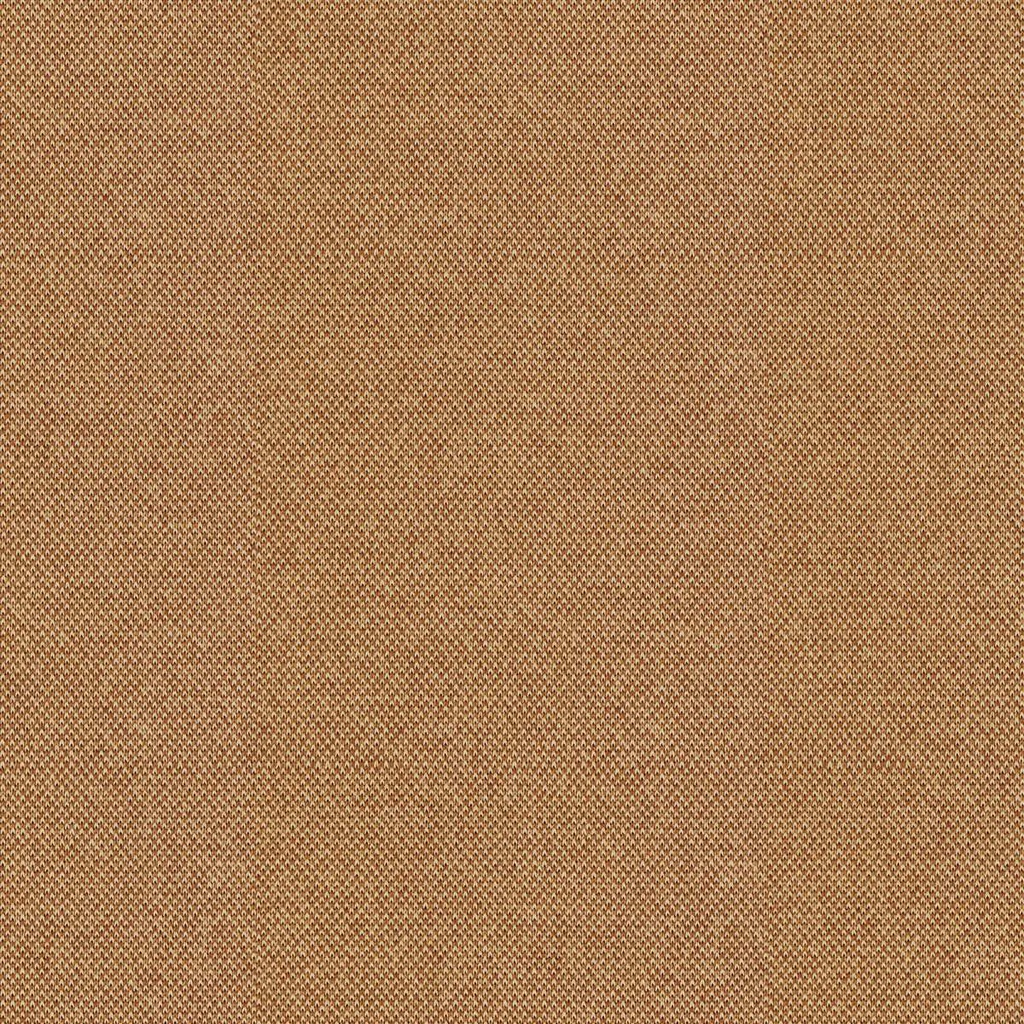 [Forma 23-Sample] Forma 23-Sample