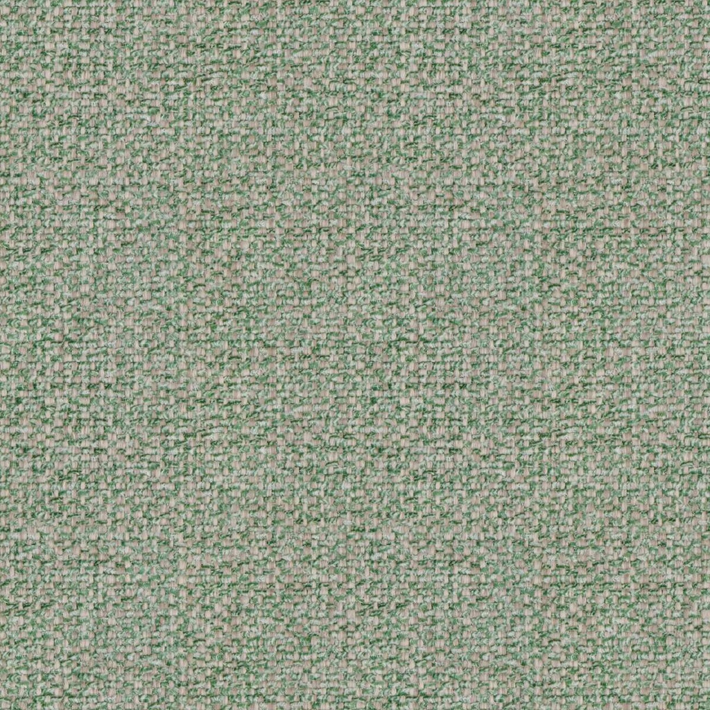 [Salvia Fr 30] Salvia Fr 30