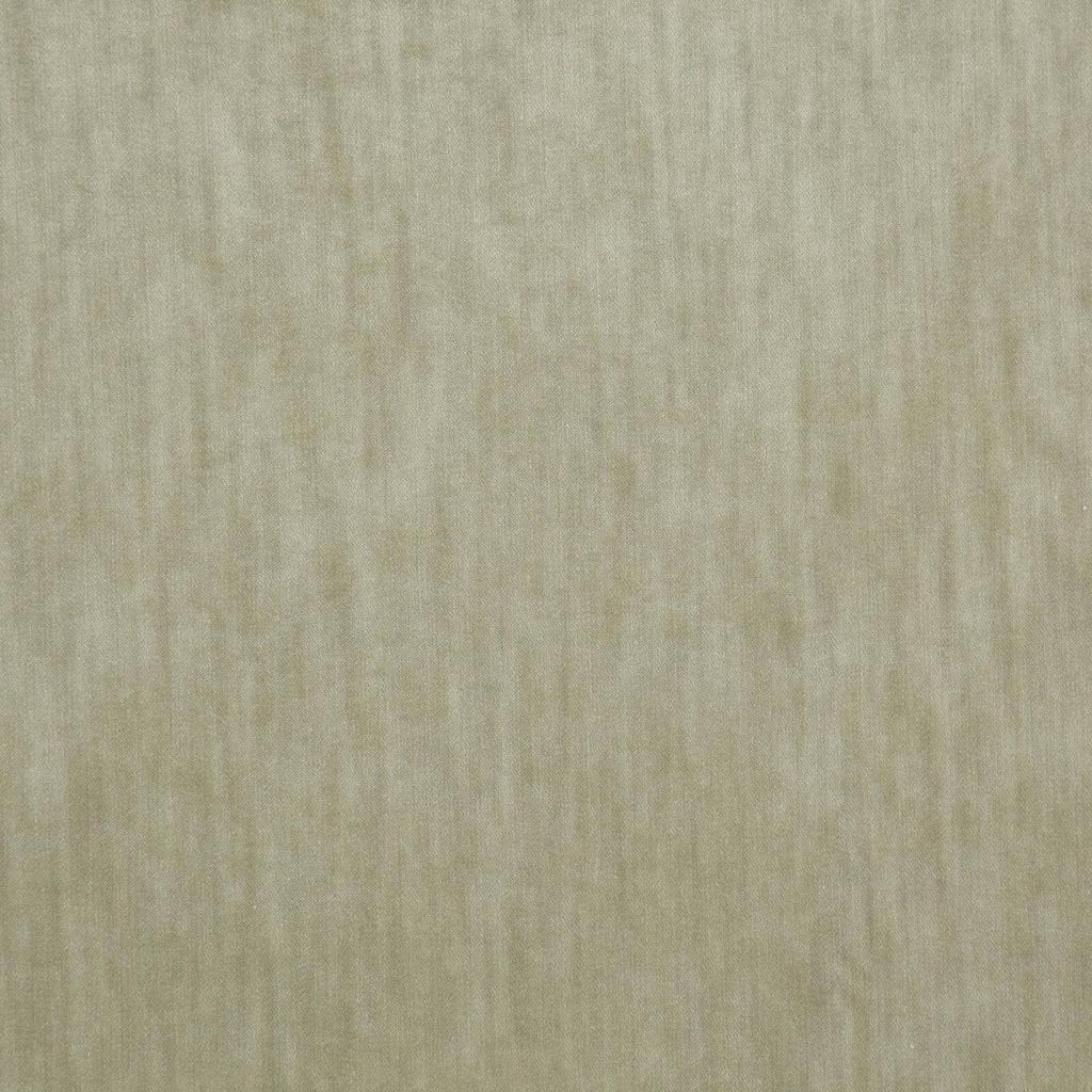 [1113360000035] Paxton FR – Col 35