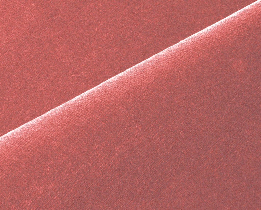 [0010800000053-Sample] Scala 200 – Col 53 – Muestra